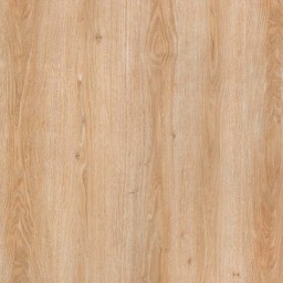Elm