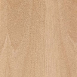 Beech